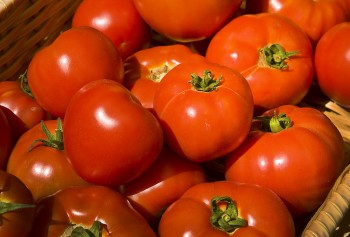 No-Cook Fresh Tomato Sauce