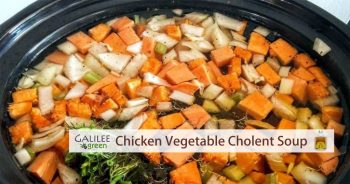 Slow Cooker Chicken Vegetable Soup