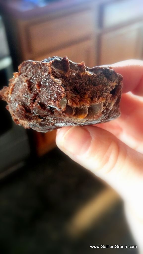 Tastes like a frozen fudge bar!