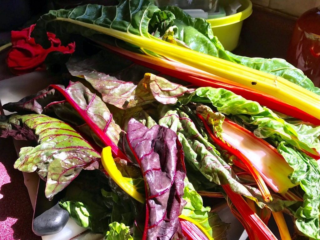 fresh greens