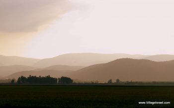 Israel Hula Valley at sunset
