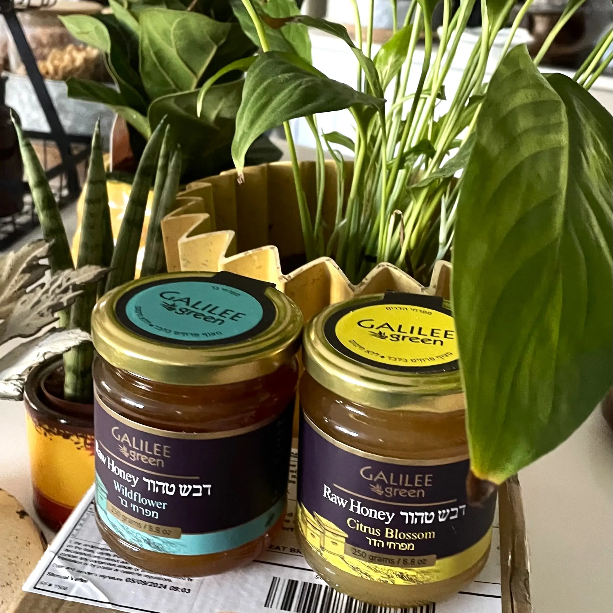 Raw Wildflower Honey 250gr - Image 4
